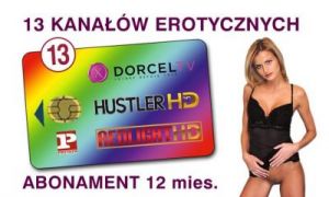 usł. dostępu do kan ELITE HD 10+ 13ch/12m Fusion