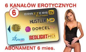 usł. dostępu do kan ELITE VIVID HD 6+ 6ch/6m
